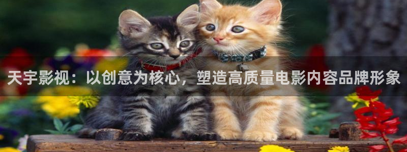 少妇影院蜜桃：天宇影视：以创意为核心，塑造高质量电影内容品牌形象
