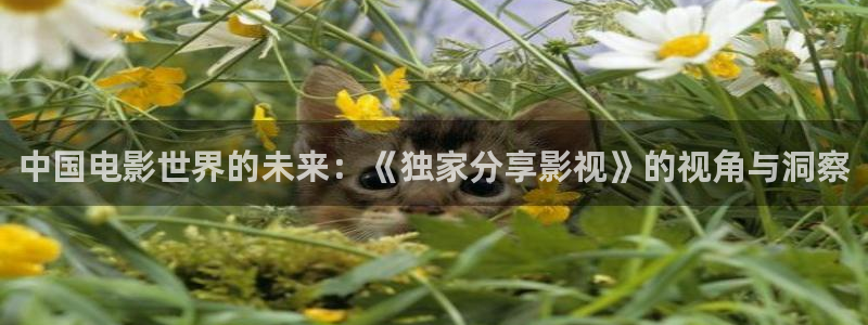 蜜桃影视777：中国电影世界的未来：《独家分享影视》的视角与洞察