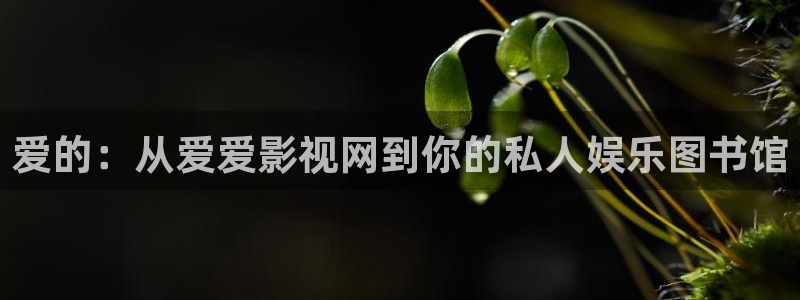 一区蜜桃视频在线观看