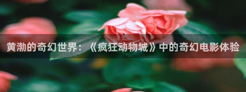 蜜桃 在线观看