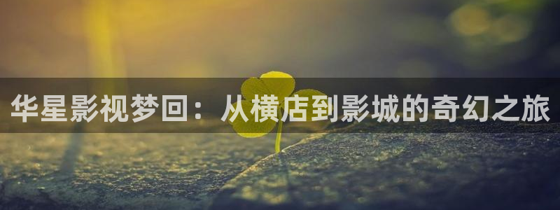 老蜜桃视频在线观看：华星影视梦回：从横店到影城的奇幻之旅