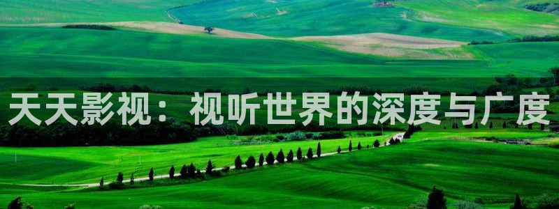中国蜜桃电影：天天影视：视听世界的深度与广度